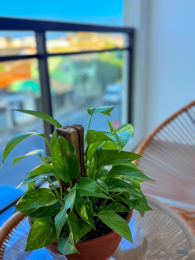 Estudio lindo e moderno cerca de la playa - CL208